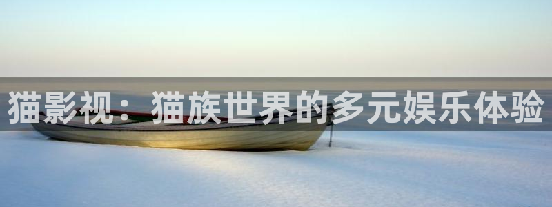 影院天龙：猫影视：猫族世界的多元娱乐体验