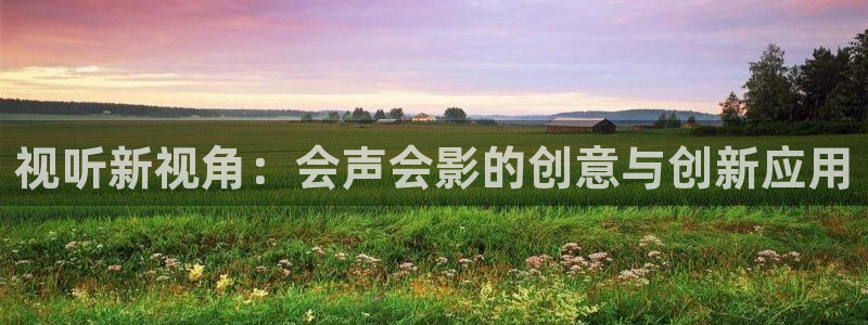 天龙高清影院首页：视听新视角：会声会影的创意与创新应用
