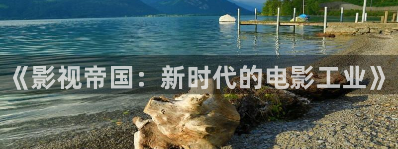 天龙影院高清：《影视帝国：新时代的电影工业》