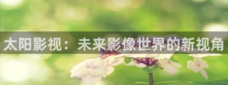 天龙影院电视剧免费看：太阳影视：未来影像世界的新视角