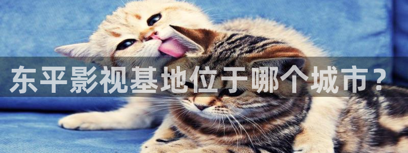 倚天屠龙记吴启华版天龙影院：东平影视基地位于哪个城市？
