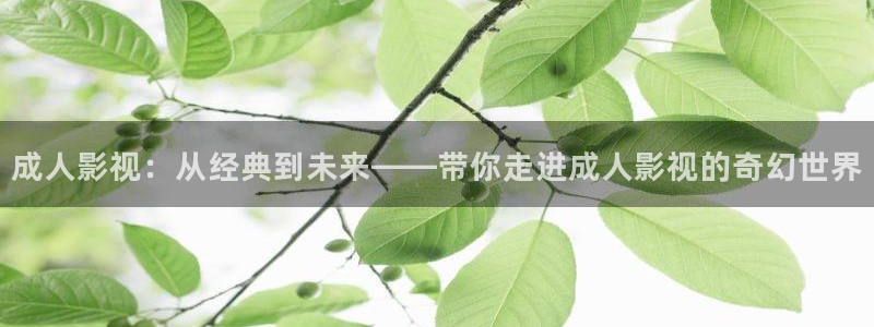 天龙影院动漫：成人影视：从经典到未来——带你走进成人影视的奇幻世界