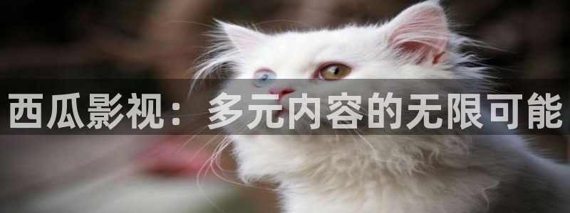 琅琊榜天龙影院：西瓜影视：多元内容的无限可能