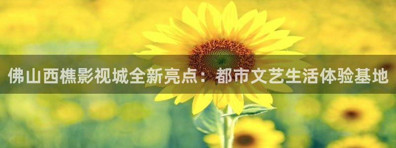 天龙影院免费最新电视剧：佛山西樵影视城全新亮点：都市文艺生活体验基地