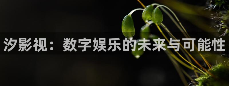 天龙高清影院 远古电影首页：汐影视：数字娱乐的未来与可能性