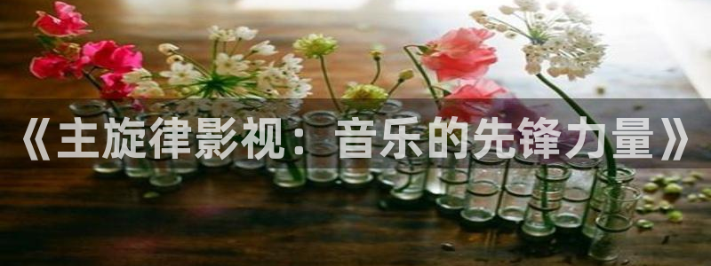 天龙影院2024年最新款：《主旋律影视：音乐的先锋力量》